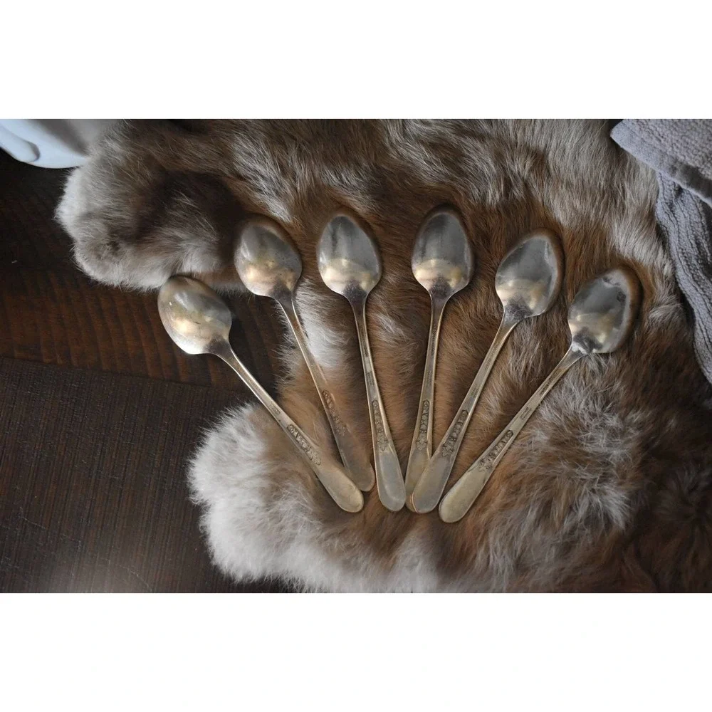 Six WM‎ Rogers Pricilla-ladyann teaspoons Original Rogers silverplate flatware